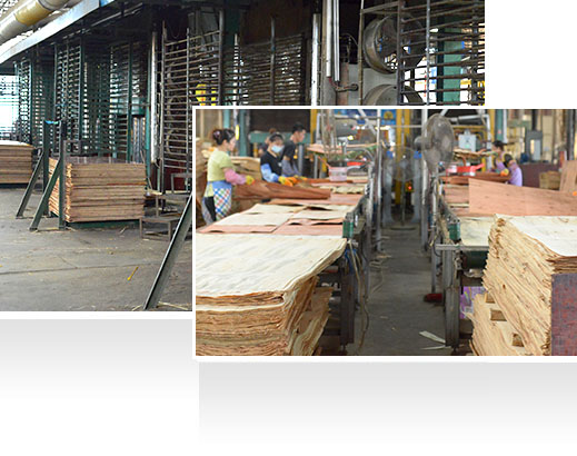 —30年耕耘，實(shí)力深厚