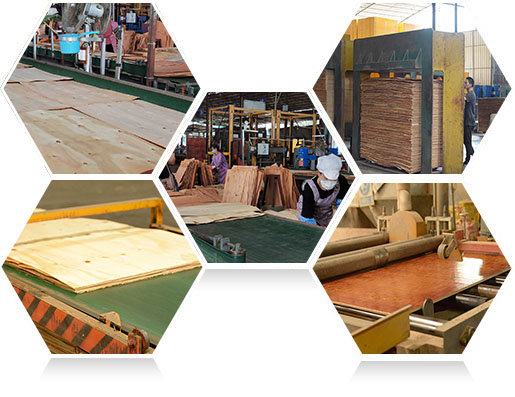 —高效生產(chǎn)，快速交貨