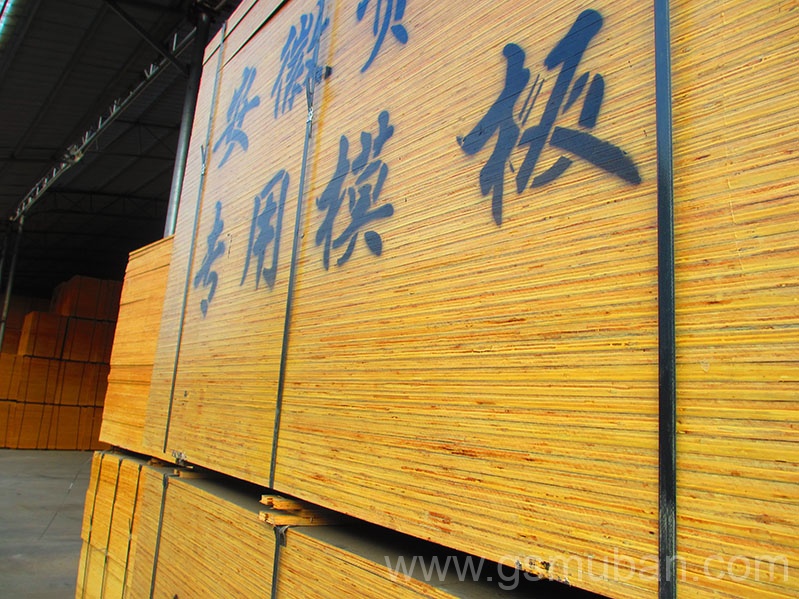 建筑木模板多少一張？?jī)r(jià)格貴不貴